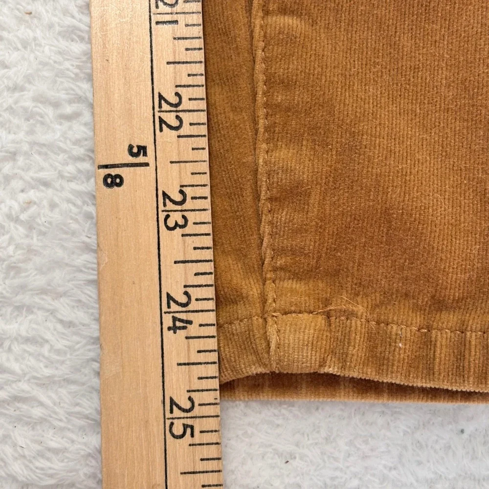 Anthropologie Pilcro High Rise Skinny Corduroy Pants Brown Button Fly Size 29